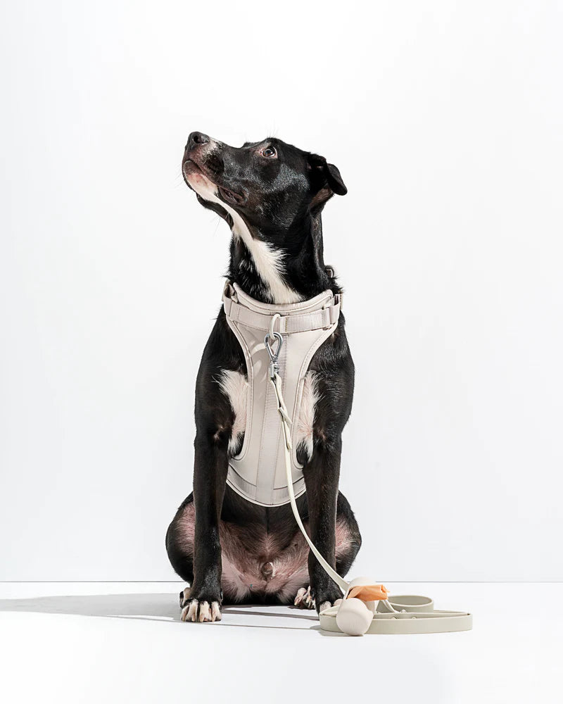 GRAY DOG HARNESS