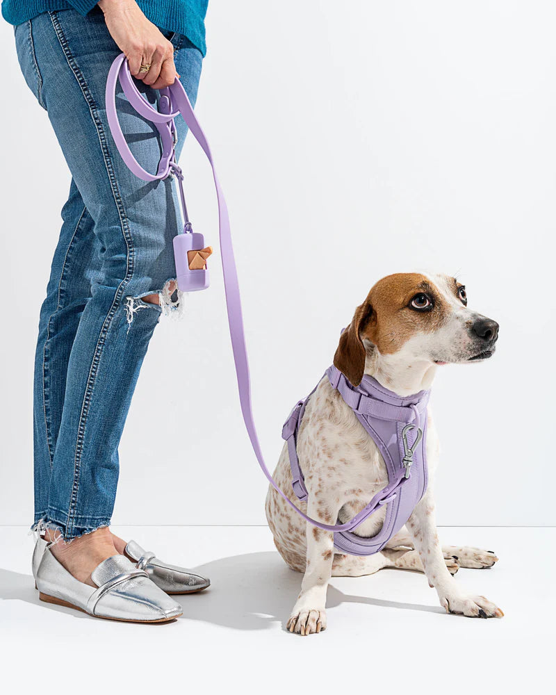 Lilac dog harness top