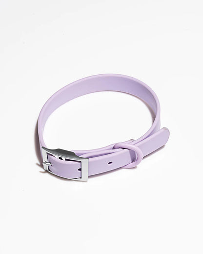 LILAC PURPLE DOG COLLAR