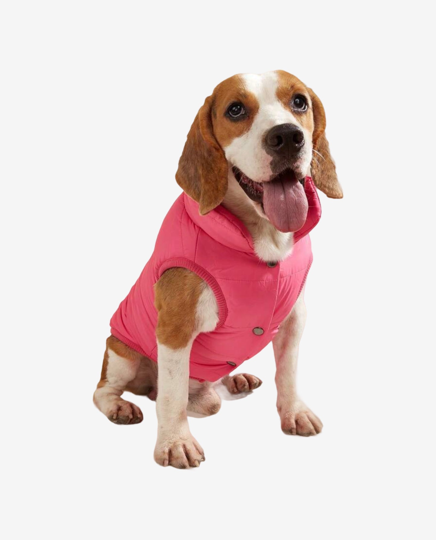 HOT PINK DOG PUFFER JACKET