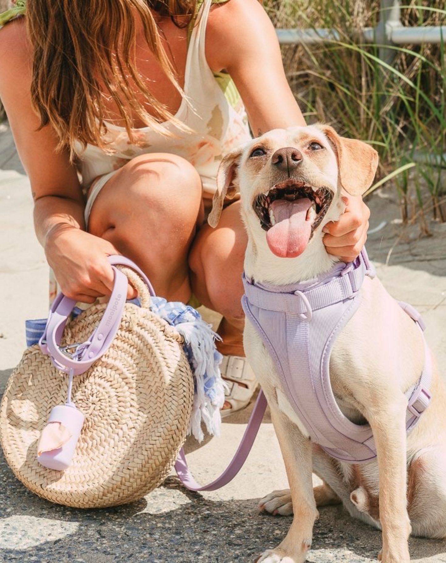 LILAC PURPLE DOG HARNESS