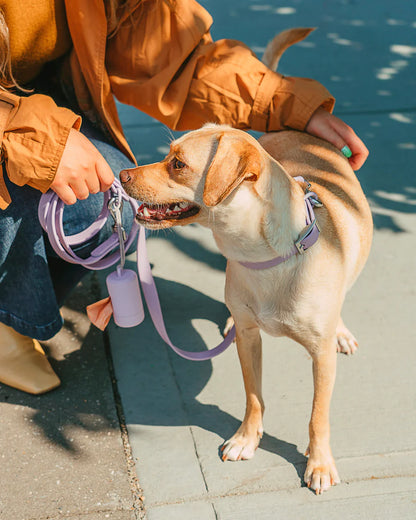 LILAC COLLAR