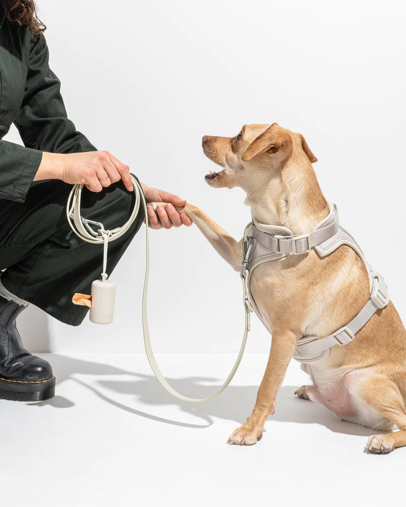 Gray dog harness clearance