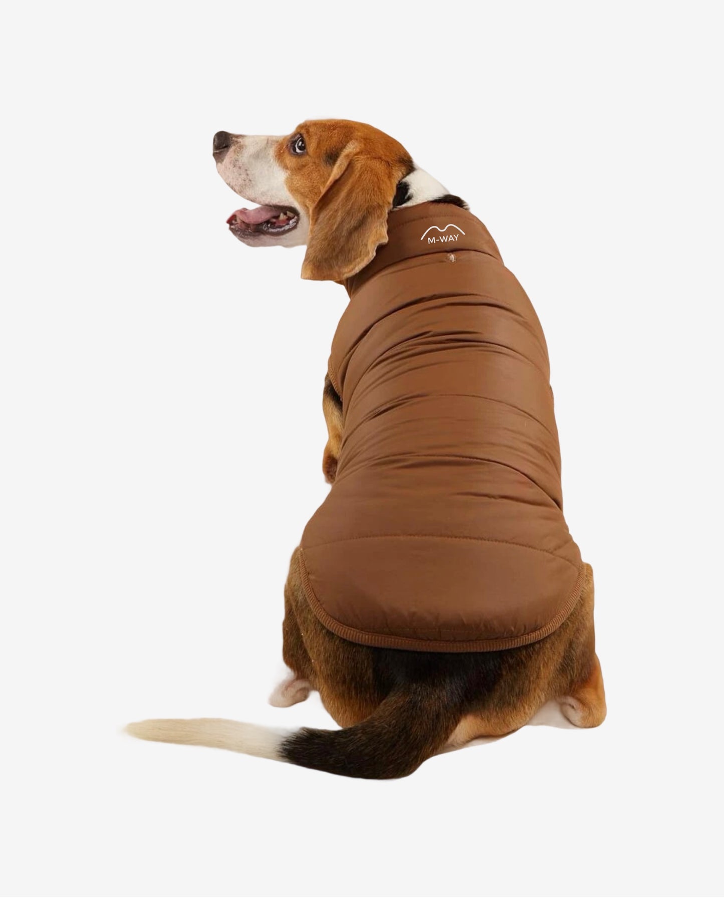 COCOA DOG PUFFER JACKET